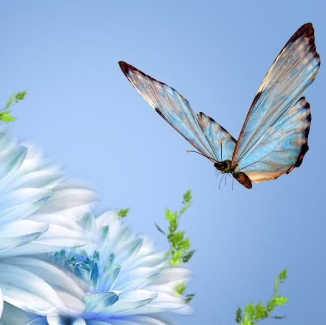 Turn Daily Struggles into Spiritual Opportunities