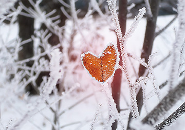 Your Relationship with God