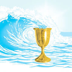 Golden_cup_color_HI